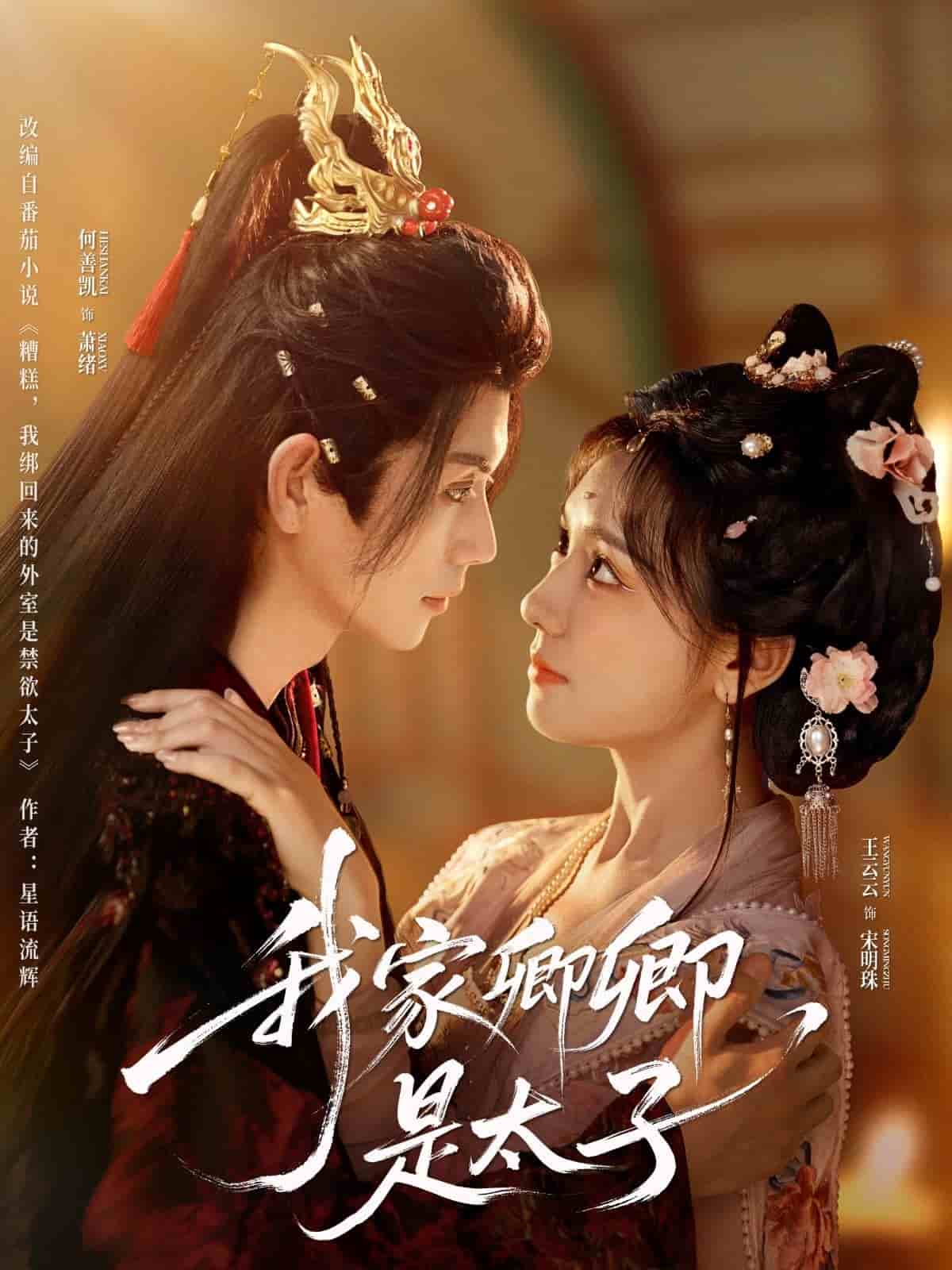 我家卿卿是太子(全集)