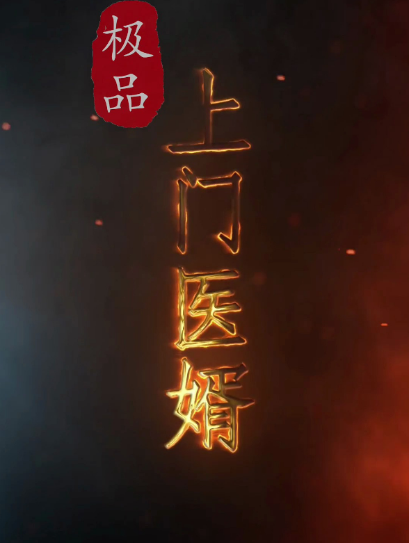 极品上门医婿第03集