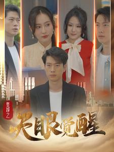 赘婿之天眼觉醒第41集