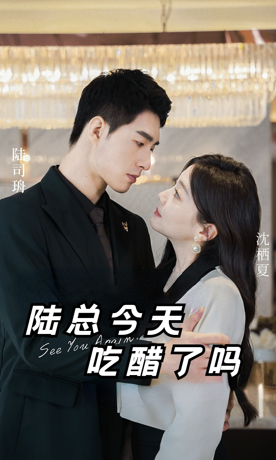 陆总今天吃醋了吗第25集