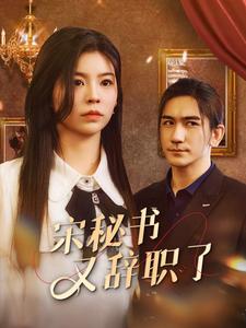宋秘书又辞职了第28集