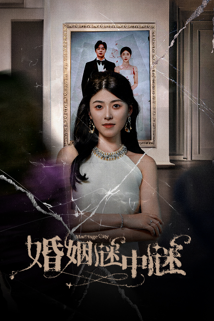 婚姻谜中谜第22集