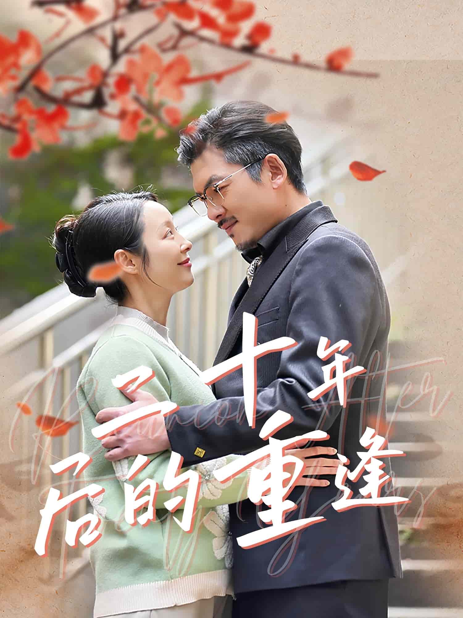 二十年后的重逢第3集