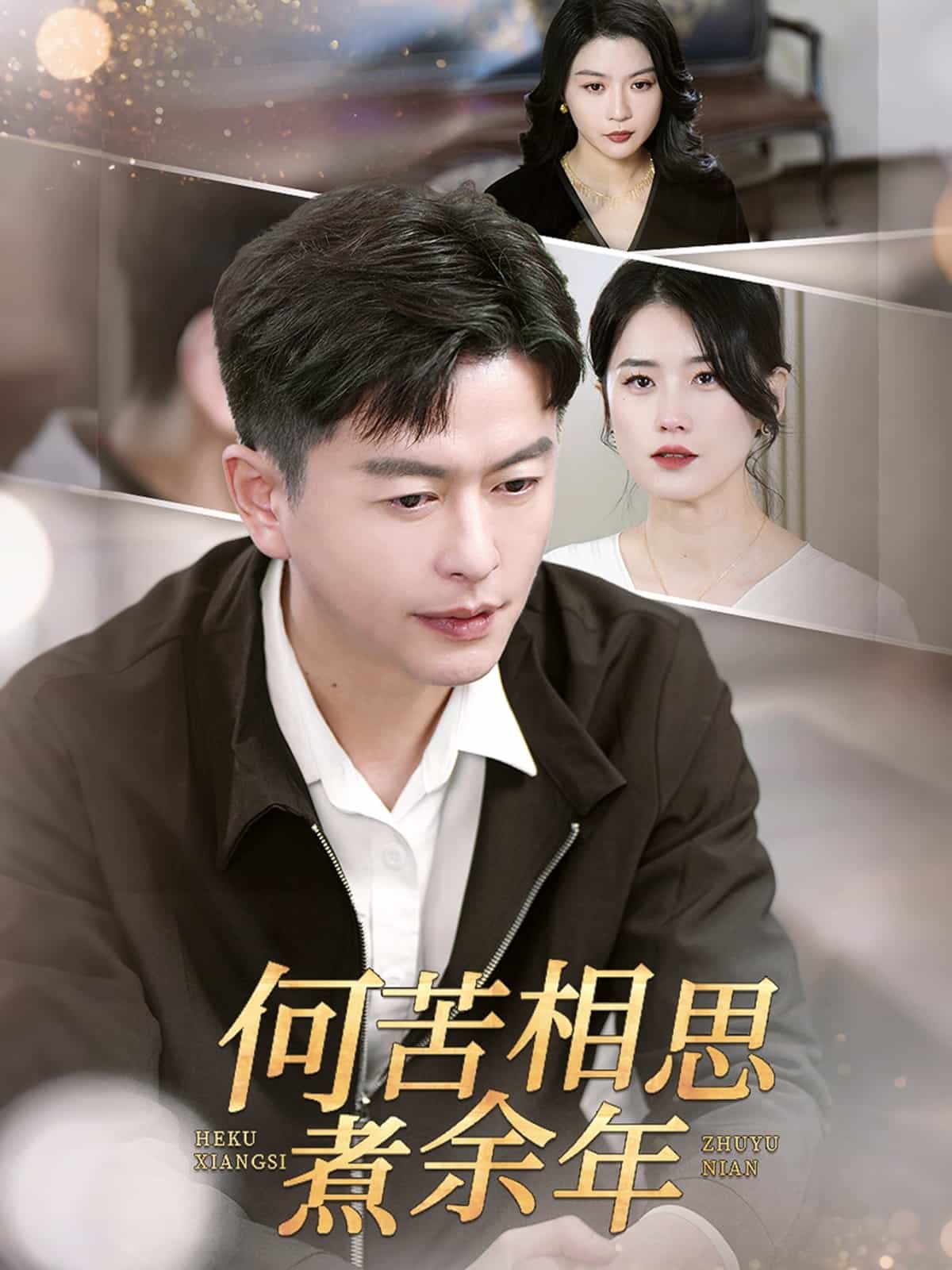 何苦相思煮余年第22集