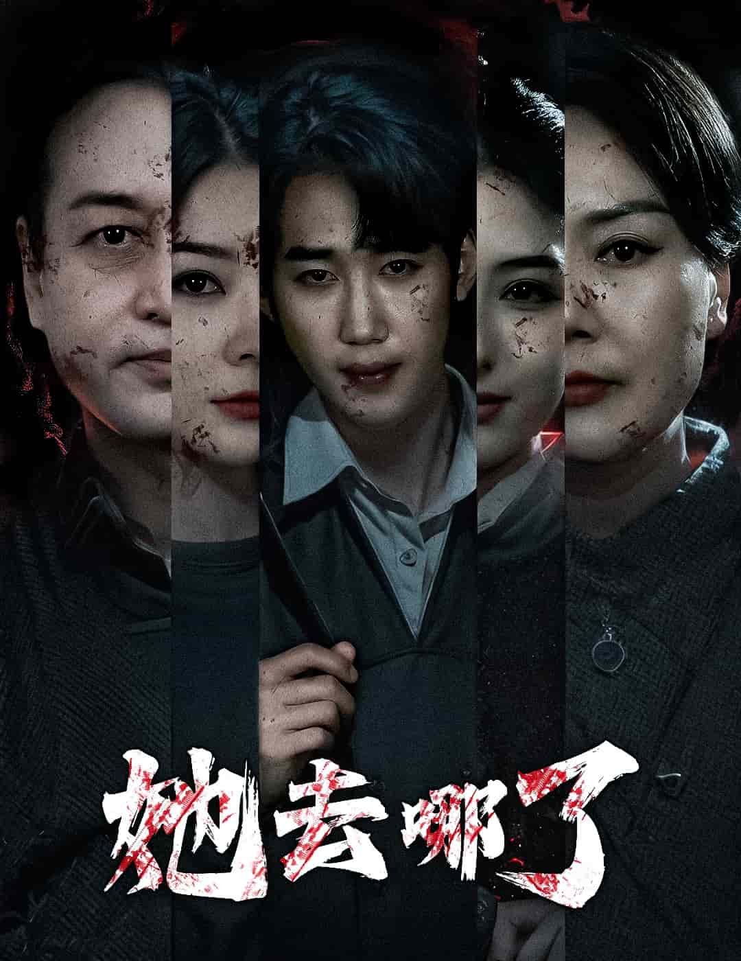 她去哪了第29集
