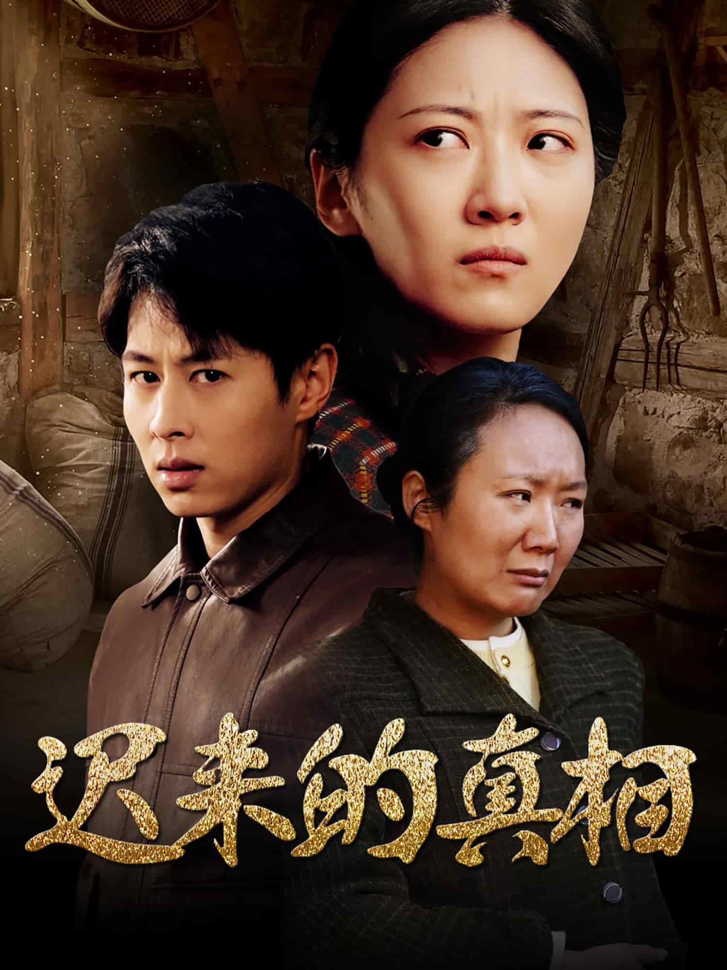 迟来的真相第29集